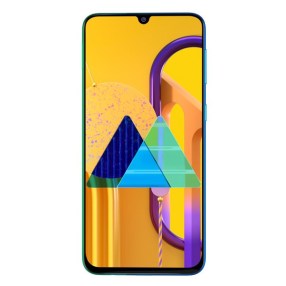 Galaxy M30s SM-M307F Binary 2 Android 10 Q INS India